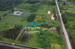 خرید زمین هکتاری در شمال